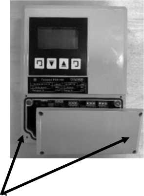 Внешний вид. Расходомеры-счётчики электромагнитные, http://oei-analitika.ru рисунок № 6